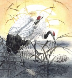 Suncranes