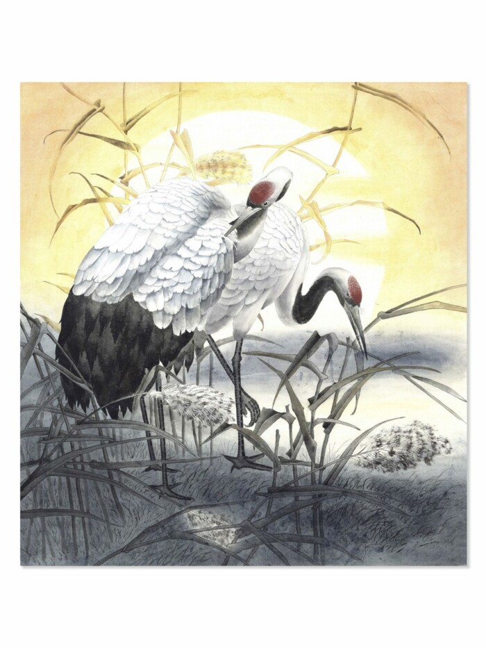 Suncranes