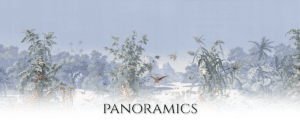Panoramics