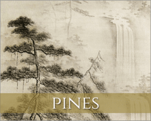 Pines