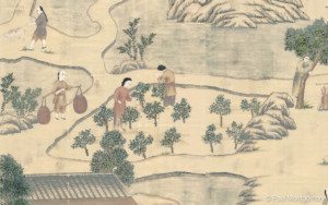Country Life detail 2