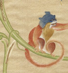 Greta monkey