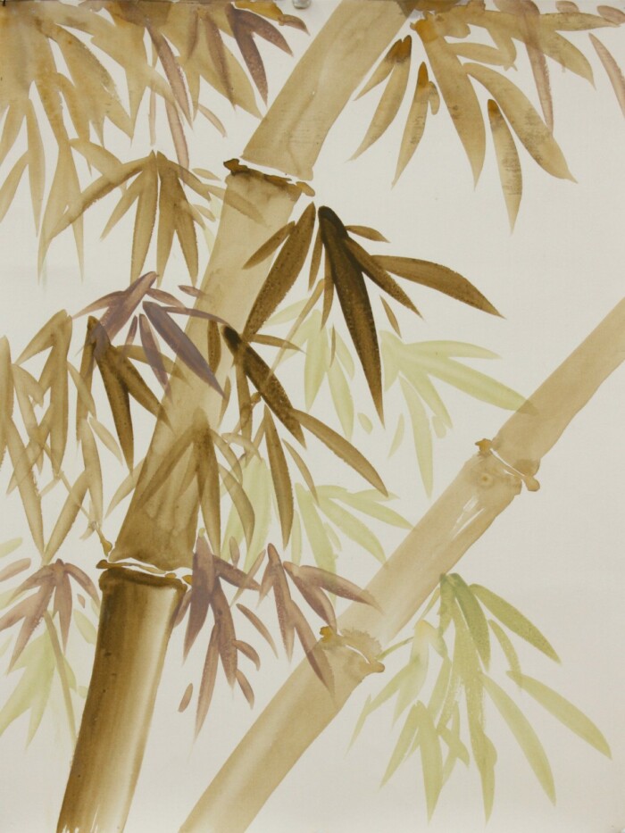 Spring Bamboo