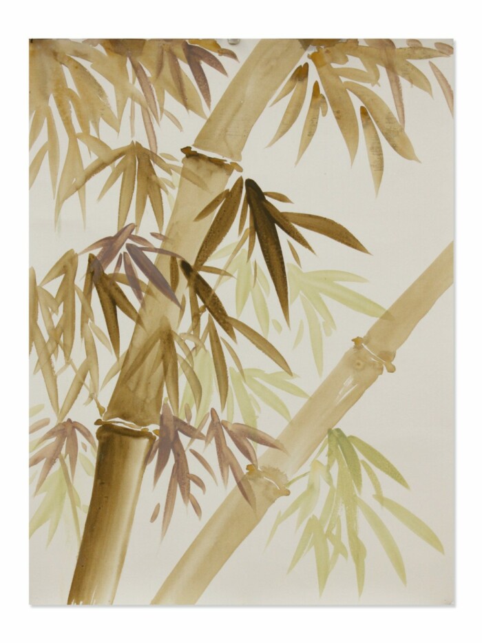 Spring Bamboo