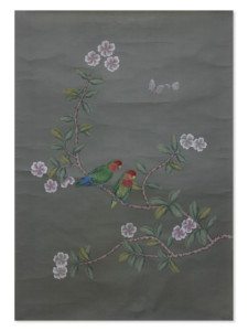 Parrots 2