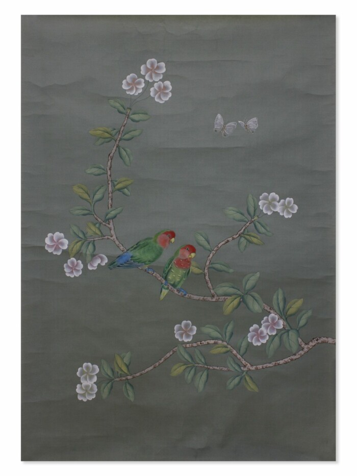 Parrots 2
