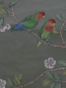 Parrots 3