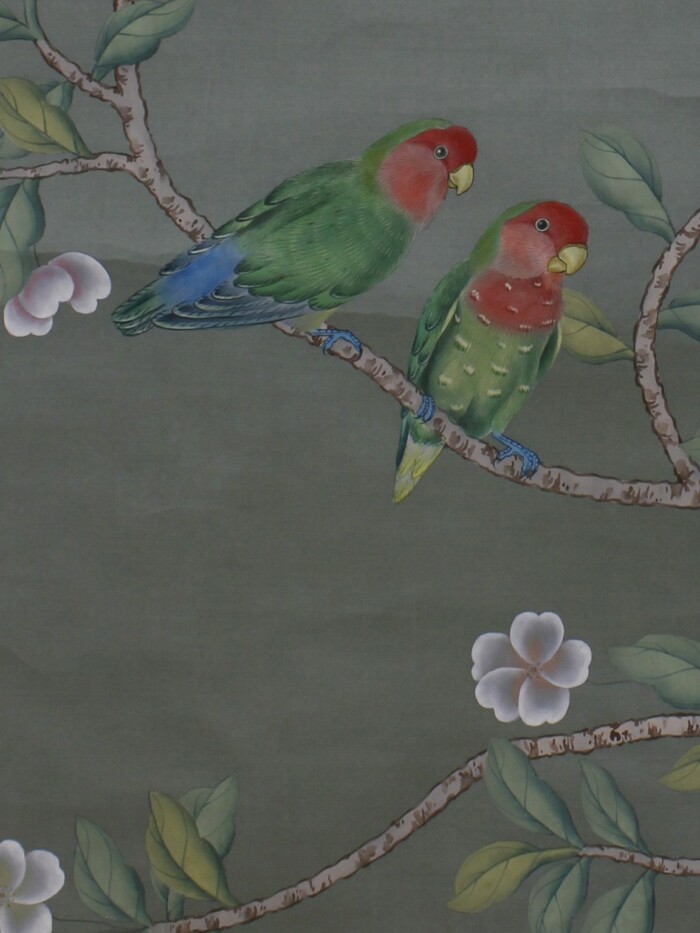 Parrots 3