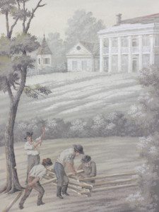 Dixie detail 1