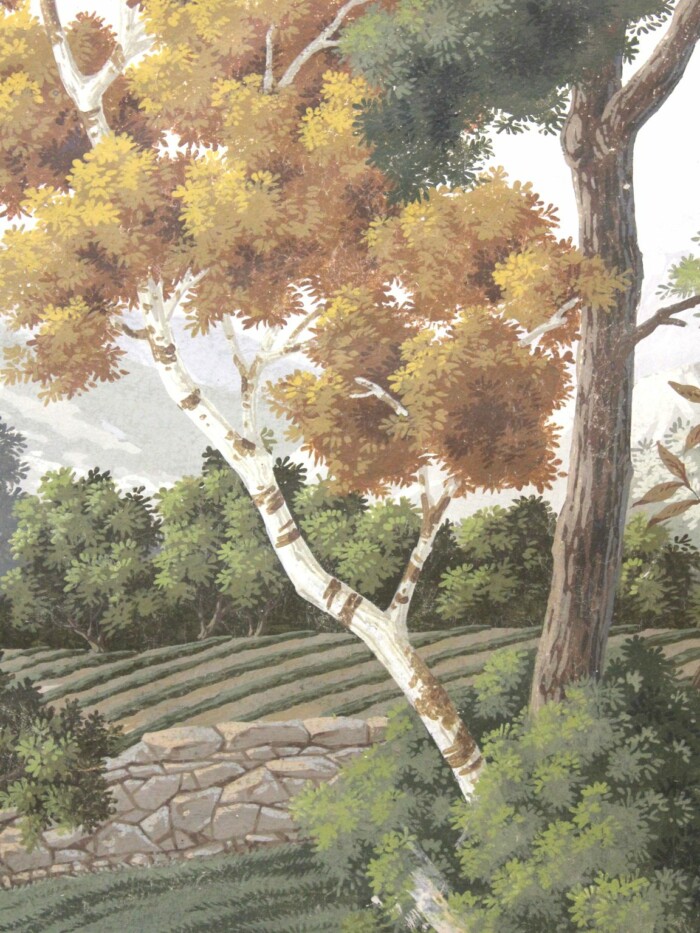 Virginia - Image 2
