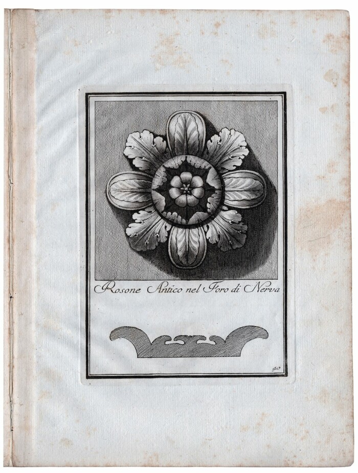 5 Rosettes - Image 2