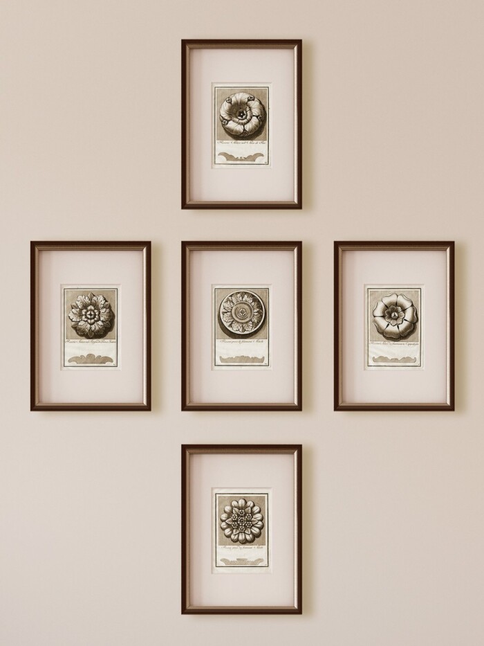 5 Rosettes