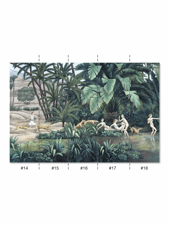 Oasis