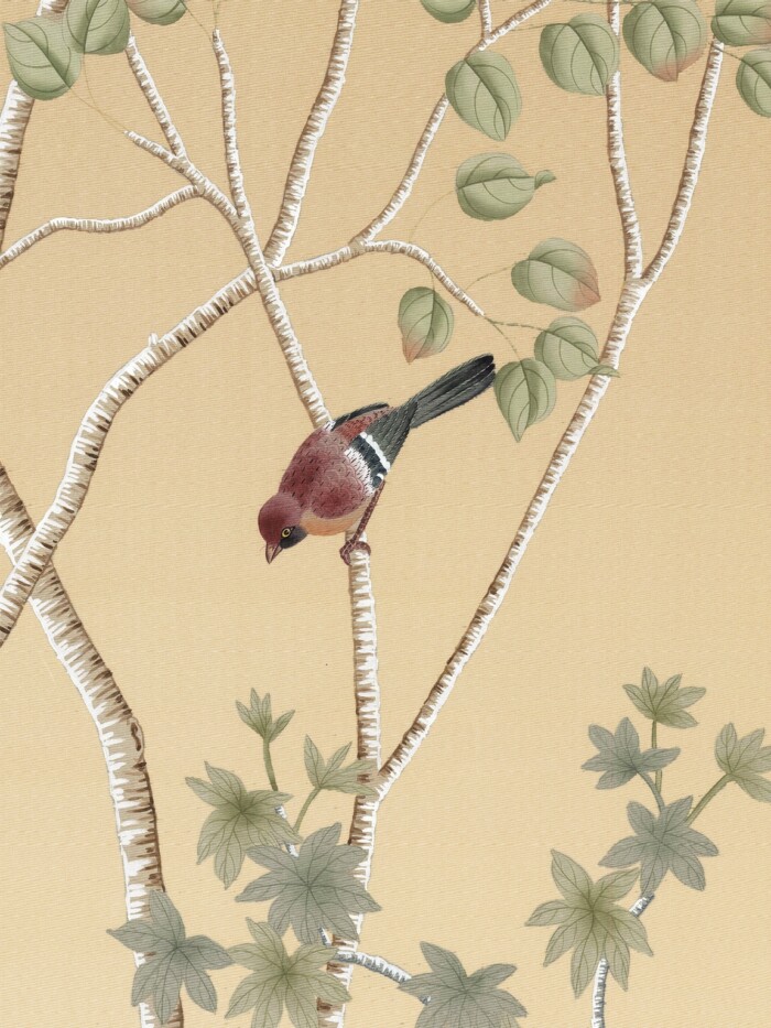 Aspens - Image 2