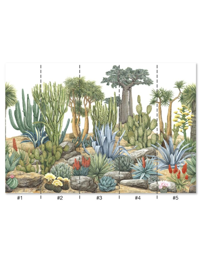 Desert Garden