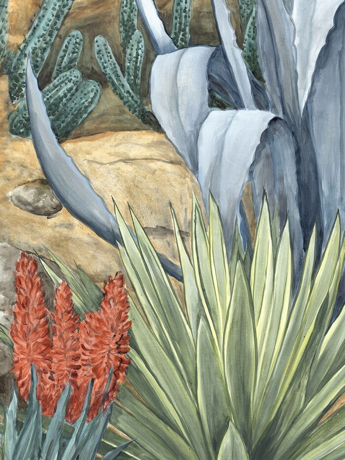 Desert Garden - Image 2