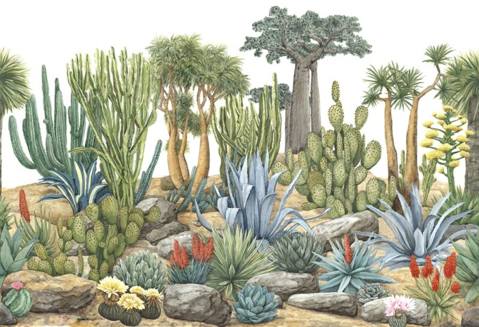 Desert Garden - Image 3
