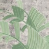 Bananas - Image 2
