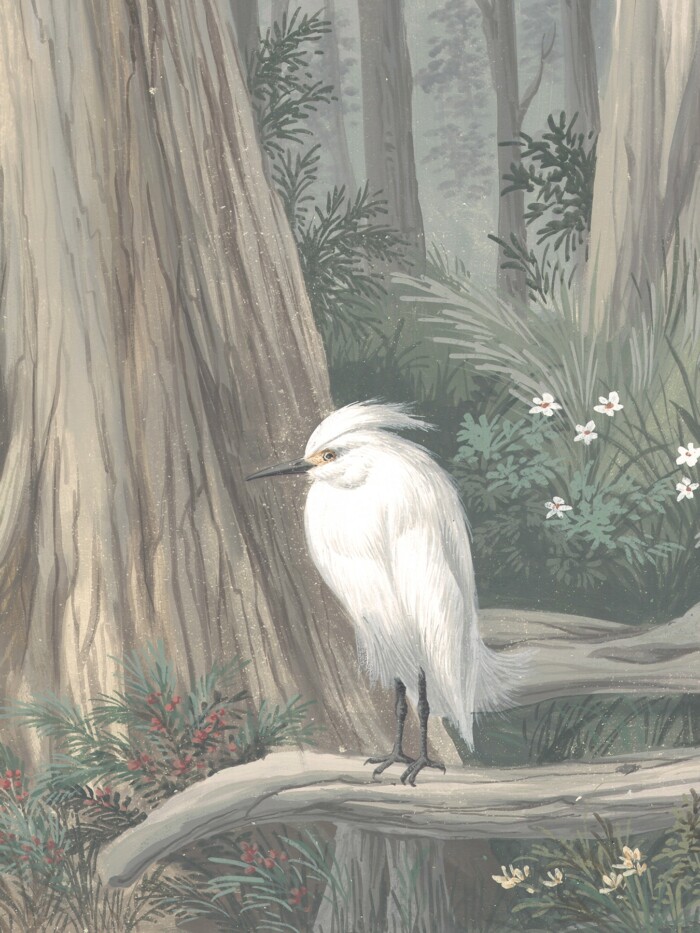 Southern River - Image 2