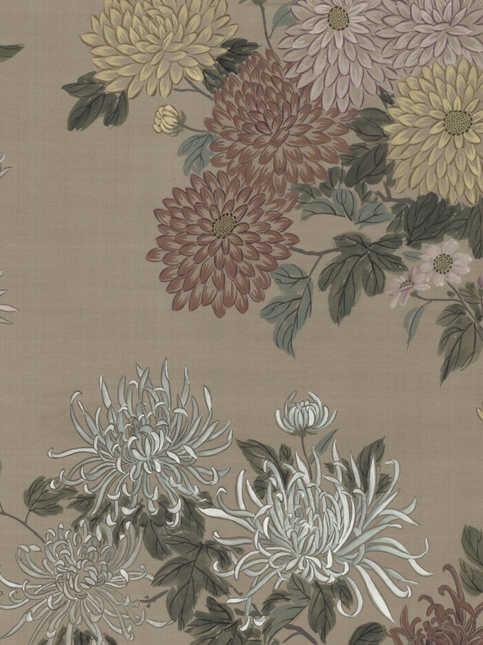 Chrysanthemums - Image 2
