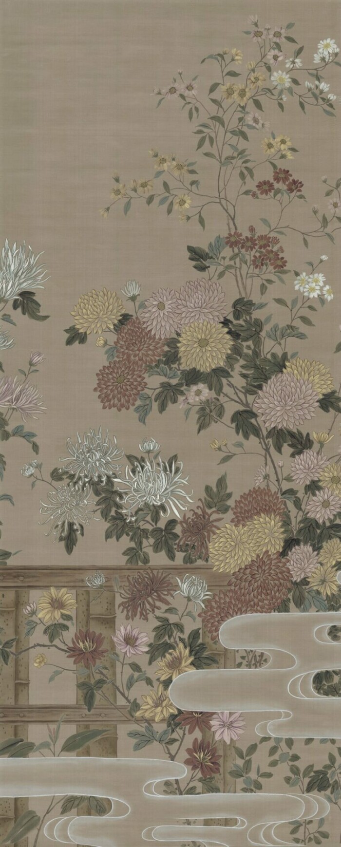 Chrysanthemums - Image 4