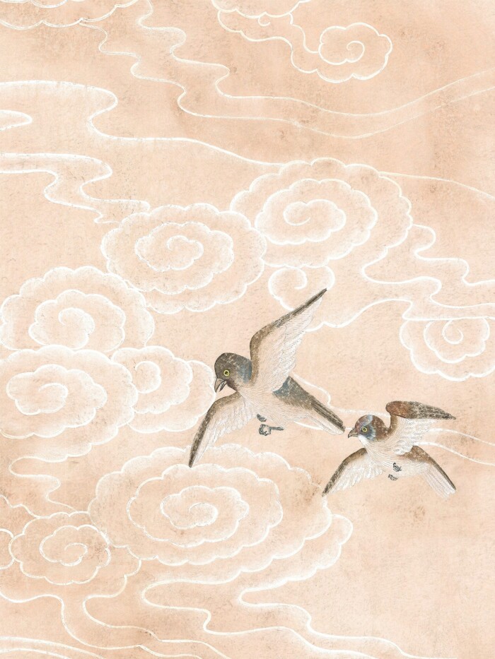 Clouds Peach - Image 2