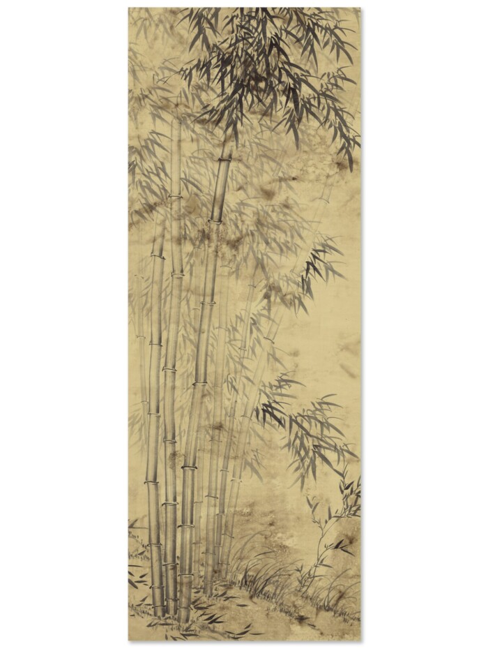 Bamboo In Mist