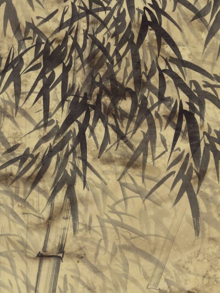 Bamboo In Mist - Image 3