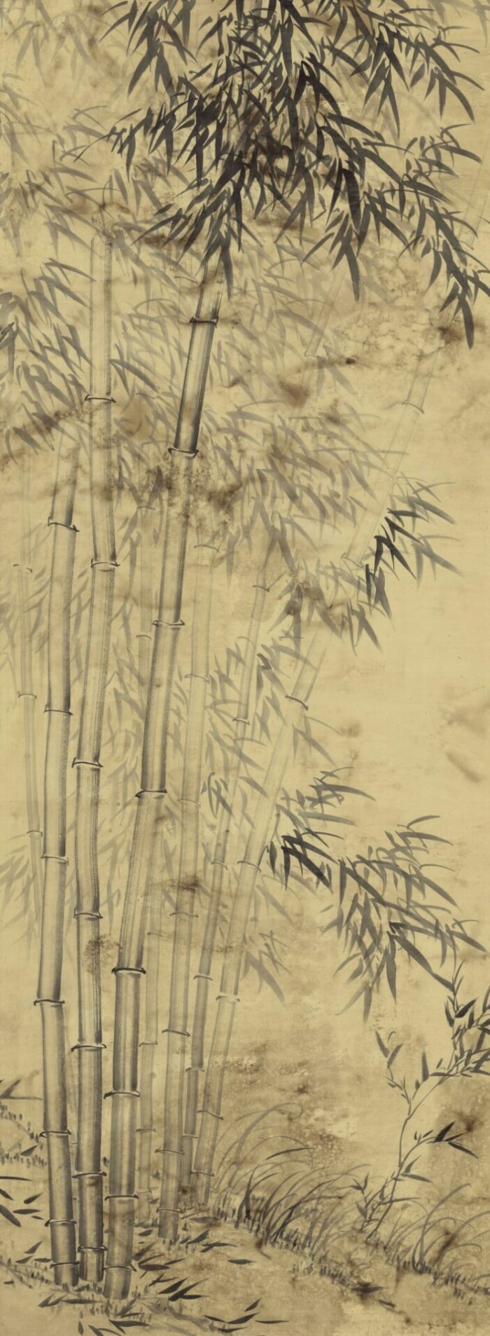 Bamboo In Mist - Image 4