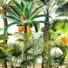 Palmetum - Image 2
