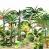 Palmetum - Image 3