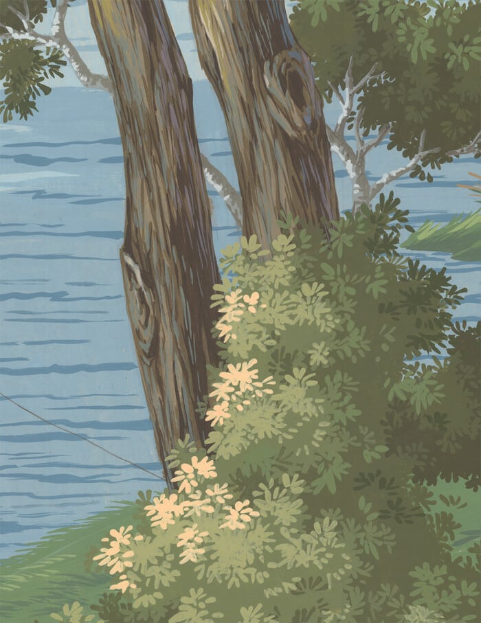 Virginia #20 - Image 3