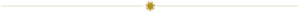 Divider sun
