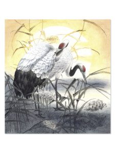 Suncranes