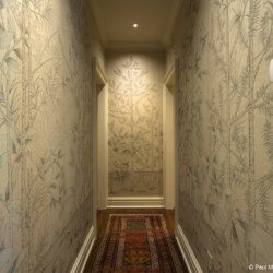 Quiet Forest hallway