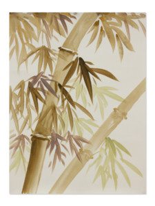 Spring Bamboo