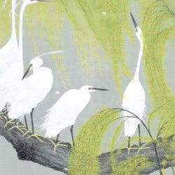 Herons and Willows sample