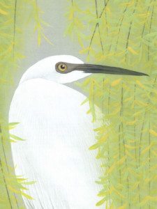 Herons and Willows