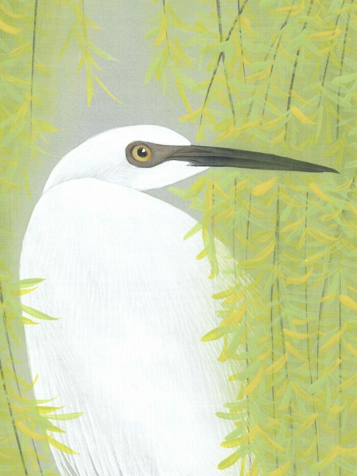 Herons and Willows