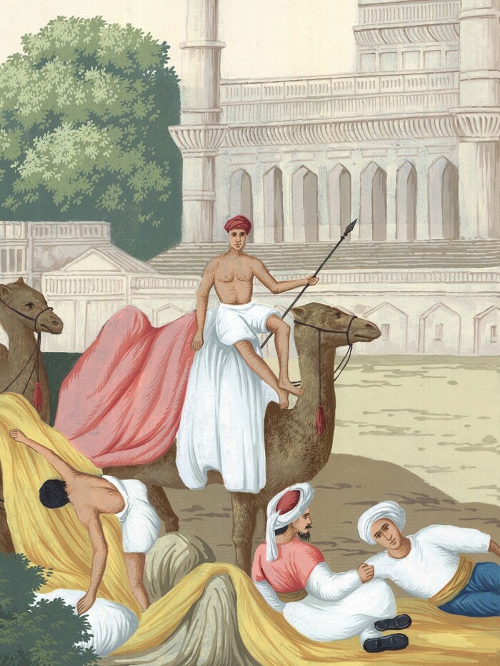 India - Image 3