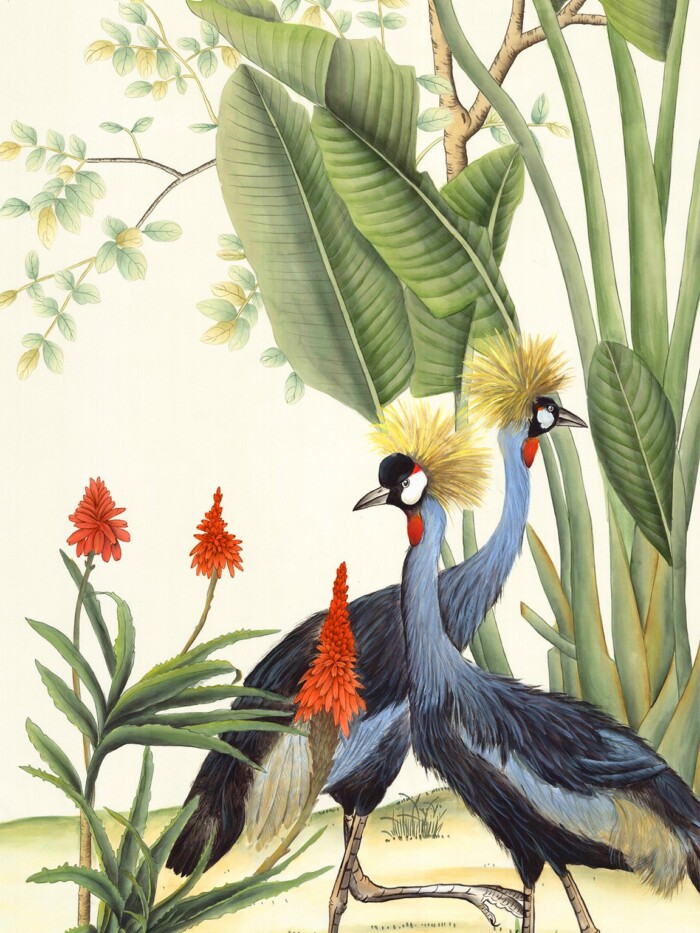 Africa - Image 2