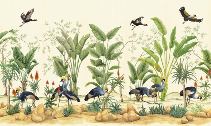 Africa - Image 3