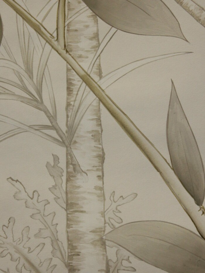 Quiet Forest - Image 2