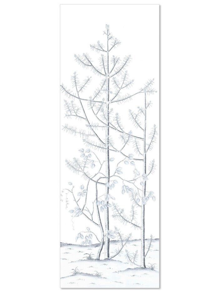 Winter Forest