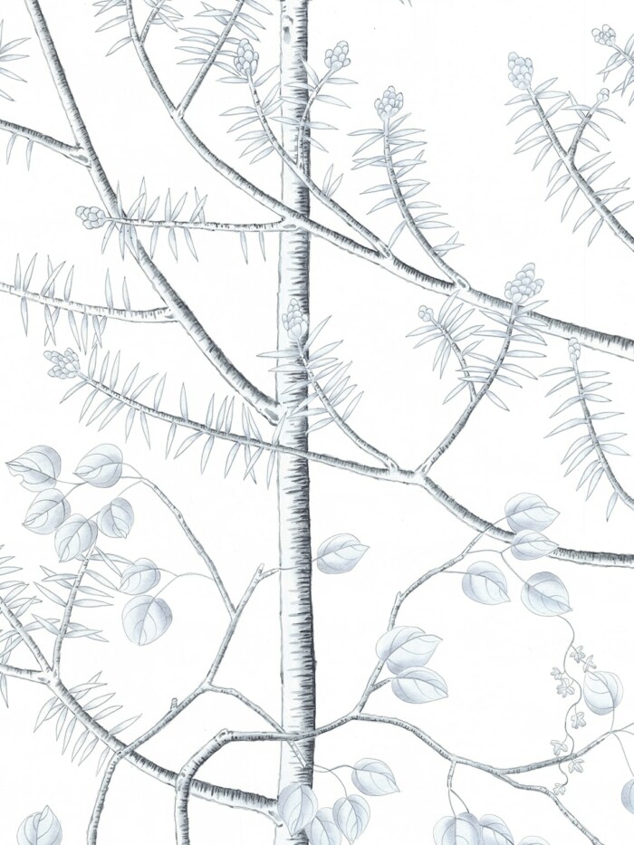 Winter Forest - Image 2