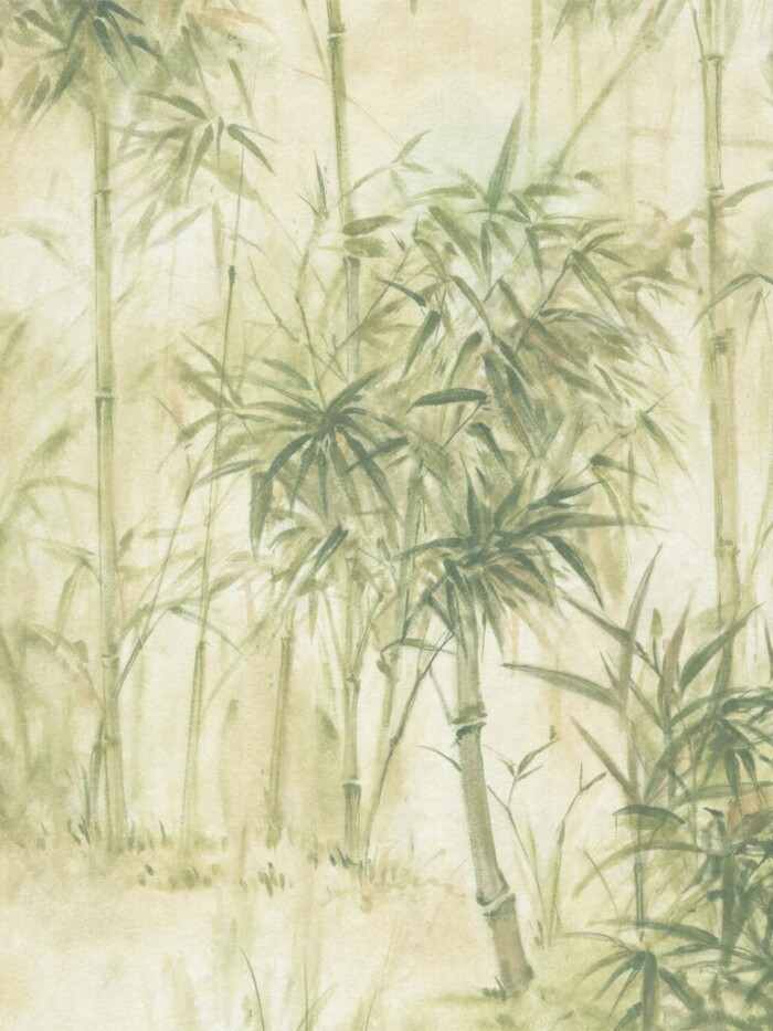 Bamboo Forest - Image 2