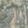 Southern River - Image 3