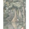 Southern River