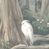 Southern River - Image 2