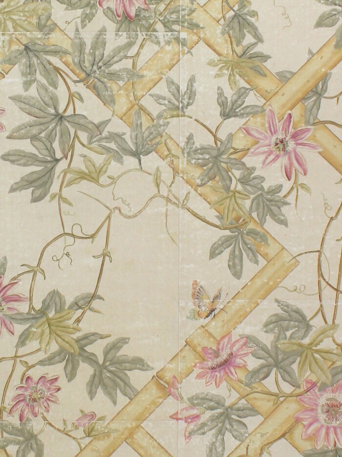 Pasiflora - Image 2